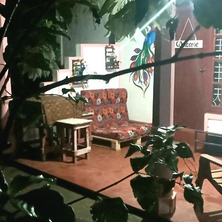 Sigiri Picaso Home Stay Sigiriya Exterior foto