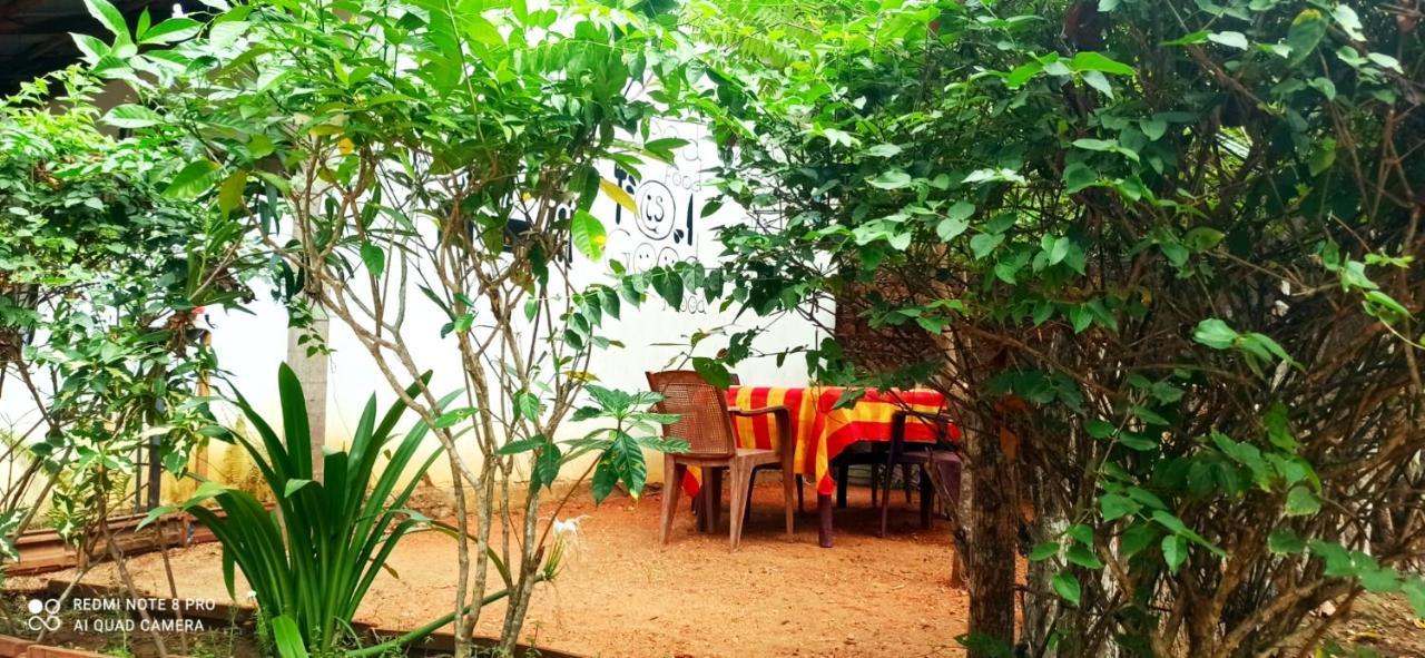 Sigiri Picaso Home Stay Sigiriya Exterior foto