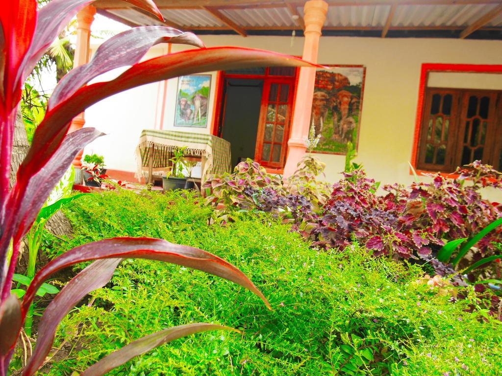 Sigiri Picaso Home Stay Sigiriya Exterior foto