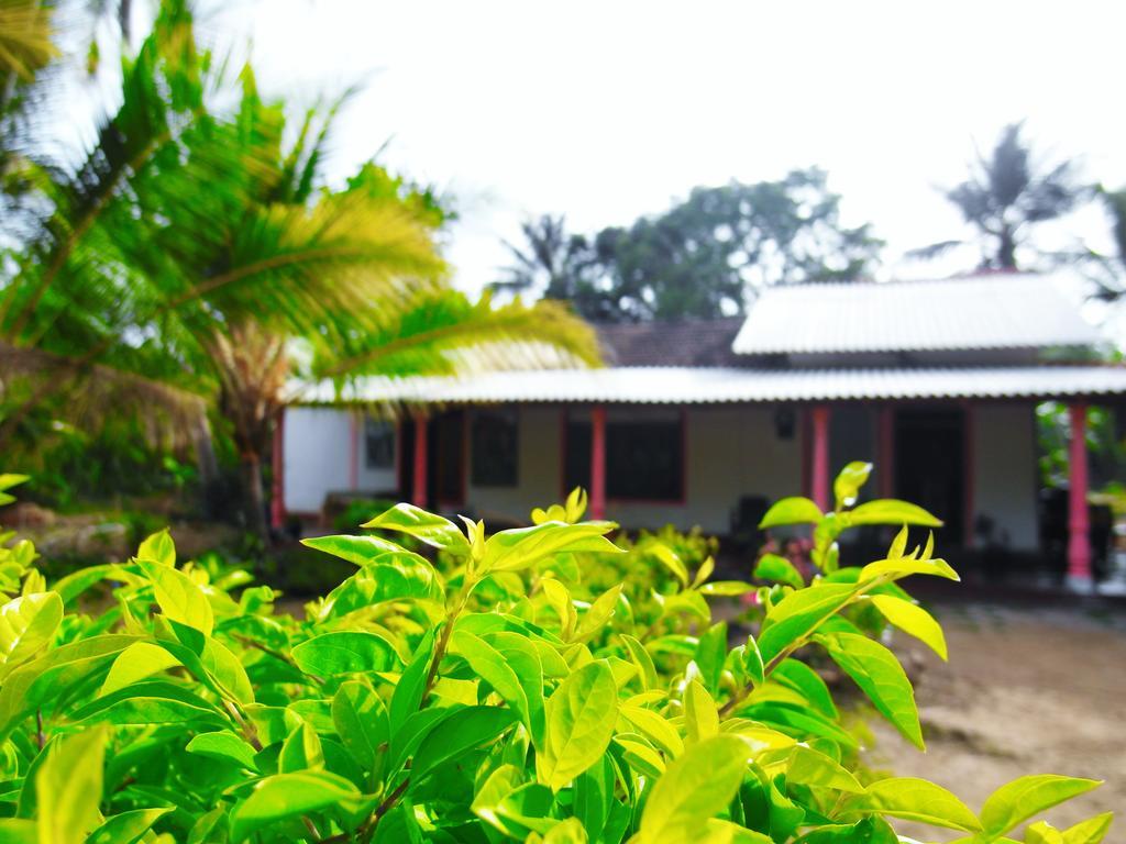 Sigiri Picaso Home Stay Sigiriya Exterior foto