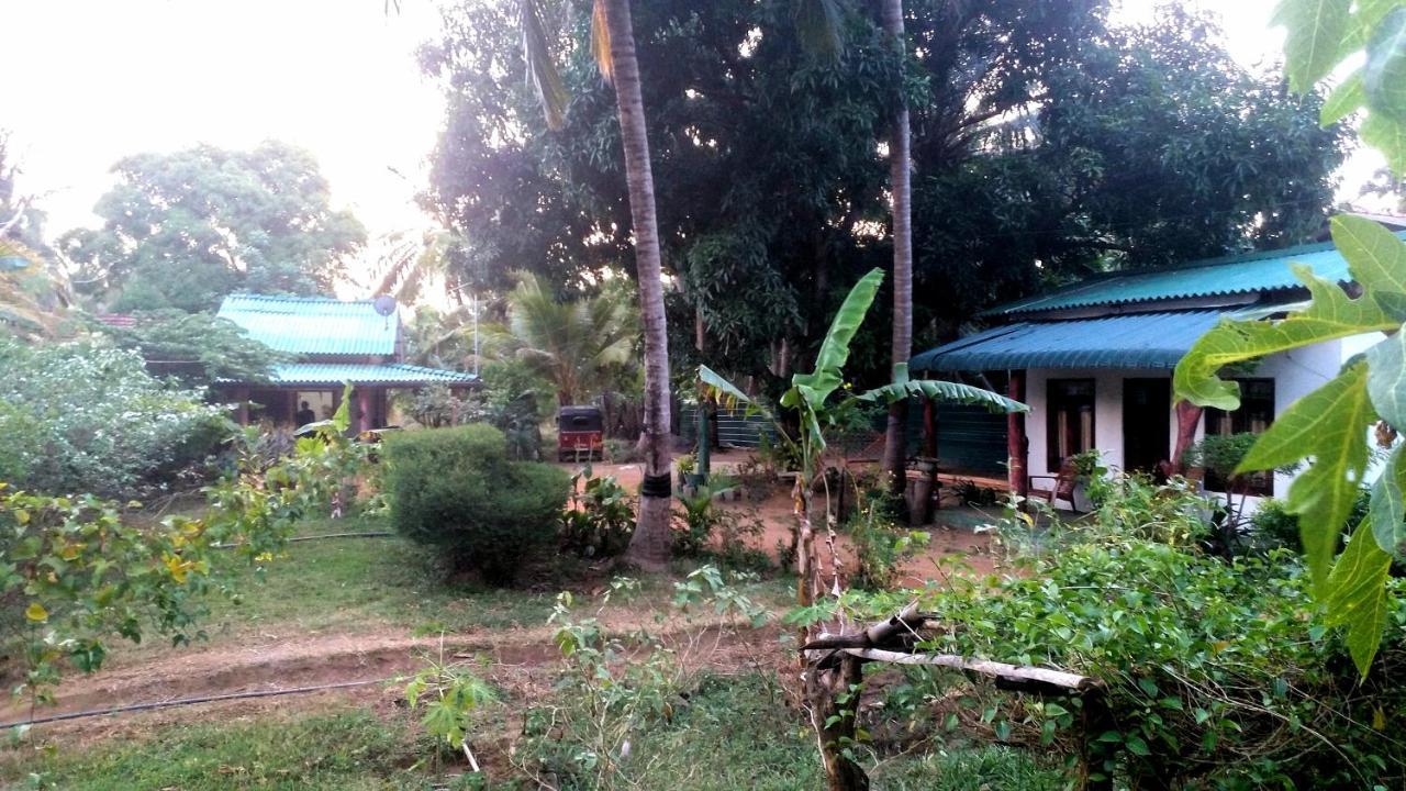 Sigiri Picaso Home Stay Sigiriya Exterior foto